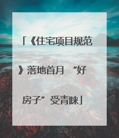 《住宅项目规范》落地首月 “好房子”受青睐