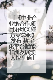 《中非产业链合作项目落地实施方案总纲》发布 数字化平台赋能非洲发展驶入快车道