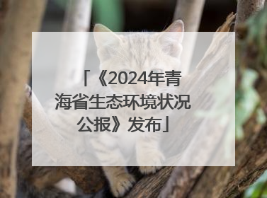 《2024年青海省生态环境状况公报》发布