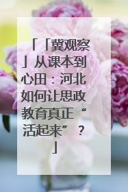 「冀观察」从课本到心田：河北如何让思政教育真正“活起来”？