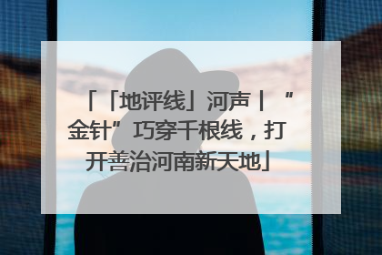 「地评线」河声丨“金针”巧穿千根线，打开善治河南新天地
