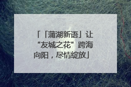 「蒲湖新语」让“友城之花”跨海向阳，尽情绽放