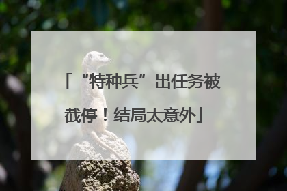 “特种兵”出任务被截停！结局太意外
