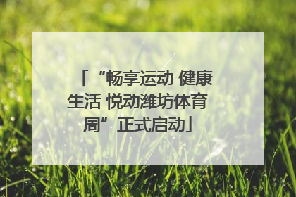 “畅享运动 健康生活 悦动潍坊体育周”正式启动
