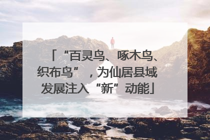 “百灵鸟、啄木鸟、织布鸟”，为仙居县域发展注入“新”动能