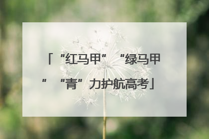 “红马甲”“绿马甲”“青”力护航高考