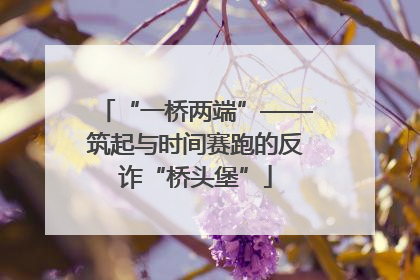 “一桥两端”——筑起与时间赛跑的反诈“桥头堡”