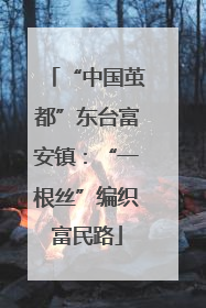 “中国茧都”东台富安镇：“一根丝”编织富民路