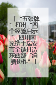 “五张牌”打出“四个经验启示” 四川南充携手瑞安市全链打造东西部“消费协作”