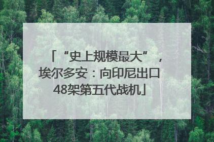 “史上规模最大”，埃尔多安：向印尼出口48架第五代战机