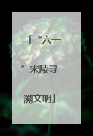 “六一”宋陵寻溯文明