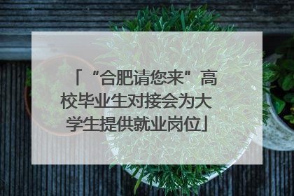“合肥请您来”高校毕业生对接会为大学生提供就业岗位