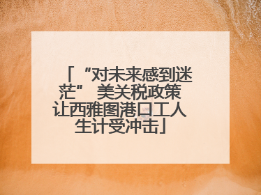 “对未来感到迷茫” 美关税政策让西雅图港口工人生计受冲击