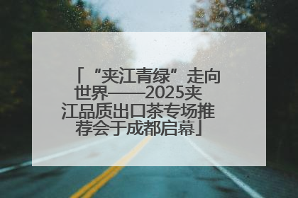 “夹江青绿”走向世界——2025夹江品质出口茶专场推荐会于成都启幕