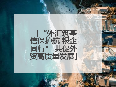“外汇筑基 信保护航 银企同行” 共促外贸高质量发展