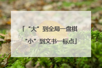 “大”到全局一盘棋 “小”到文书一标点