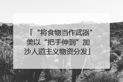 “将食物当作武器” 美以“把手伸到”加沙人道主义物资分发