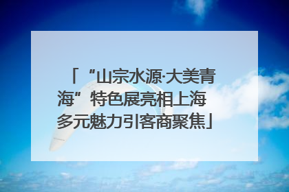“山宗水源·大美青海”特色展亮相上海 多元魅力引客商聚焦