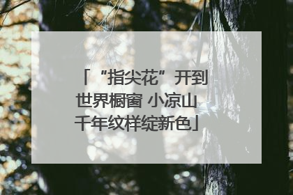 “指尖花”开到世界橱窗 小凉山千年纹样绽新色