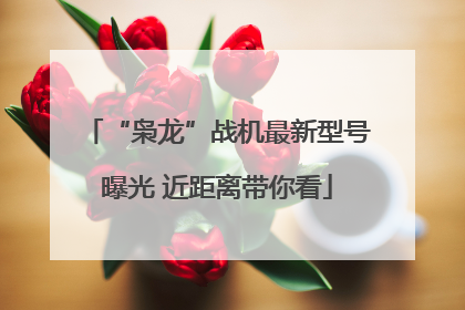 “枭龙”战机最新型号曝光 近距离带你看