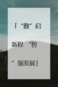 “数”启新程 “智”领发展