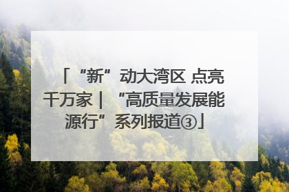 “新”动大湾区 点亮千万家｜“高质量发展能源行”系列报道③