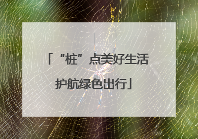 “桩”点美好生活 护航绿色出行