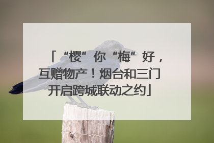 “樱”你“梅”好，互赠物产！烟台和三门开启跨城联动之约