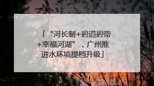 “河长制+碧道碧带+幸福河湖”，广州推进水环境提档升级