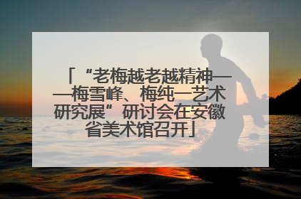 “老梅越老越精神——梅雪峰、梅纯一艺术研究展”研讨会在安徽省美术馆召开