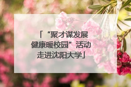 “聚才谋发展 健康暖校园”活动走进沈阳大学