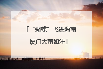 “蝴蝶”飞进海南 厦门大雨如注