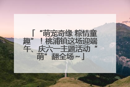“萌宠奇缘 粽情童趣”！桃浦镇这场迎端午、庆六一主题活动“萌”翻全场～