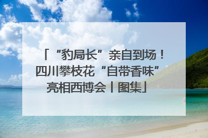 “豹局长”亲自到场！四川攀枝花“自带香味”亮相西博会丨图集