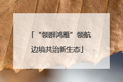 “领群鸿雁”领航边境共治新生态