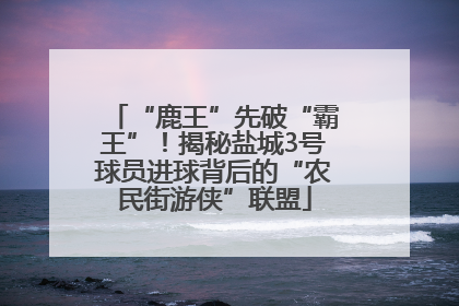 “鹿王”先破“霸王”！揭秘盐城3号球员进球背后的“农民街游侠”联盟