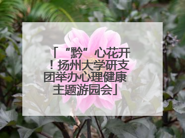 “黔”心花开！扬州大学研支团举办心理健康主题游园会