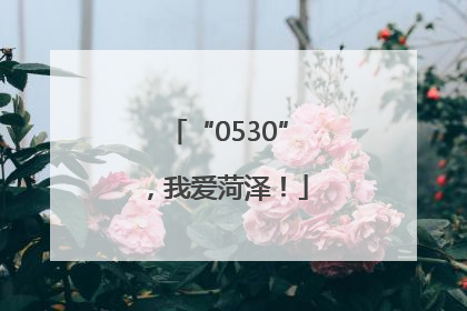 “0530”，我爱菏泽！