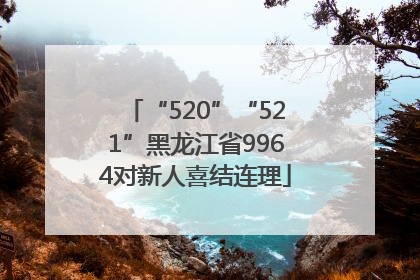 “520”“521”黑龙江省9964对新人喜结连理