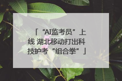 “AI监考员”上线 湖北移动打出科技护考“组合拳”