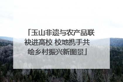 玉山非遗与农产品联袂进高校 校地携手共绘乡村振兴新图景