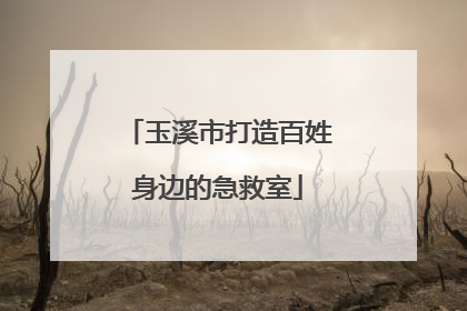 玉溪市打造百姓身边的急救室