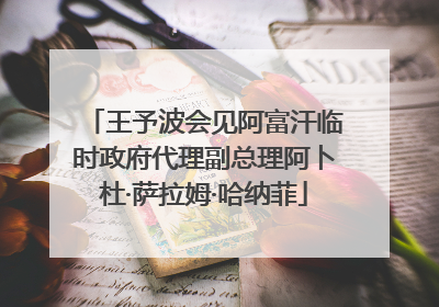 王予波会见阿富汗临时政府代理副总理阿卜杜·萨拉姆·哈纳菲