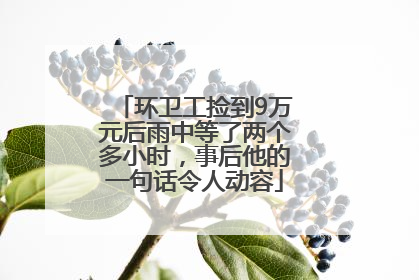 环卫工捡到9万元后雨中等了两个多小时，事后他的一句话令人动容