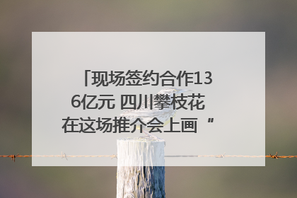 现场签约合作136亿元 四川攀枝花在这场推介会上画“图谱”列“清单”