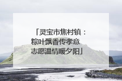 灵宝市焦村镇：粽叶飘香传孝意 志愿温情暖夕阳