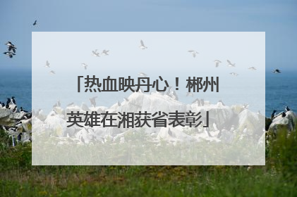 热血映丹心！郴州英雄在湘获省表彰