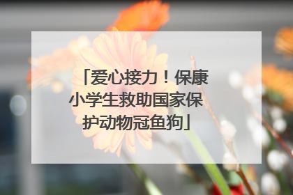 爱心接力！保康小学生救助国家保护动物冠鱼狗