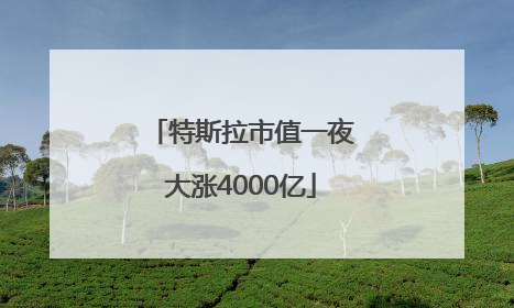特斯拉市值一夜大涨4000亿