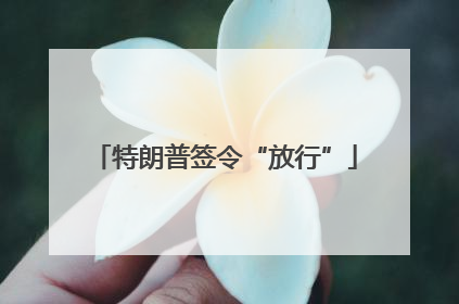 特朗普签令“放行”